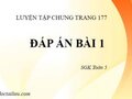 Đáp án bài 1 trang 177 SGK Toán 5 tiết luyện tập chung