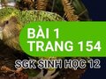Đáp án bài 1 trang 154 sách giáo khoa sinh học 12