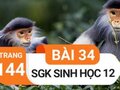 Giải sinh lớp 12: Đáp án bài 34 trang 144 SGK sinh học