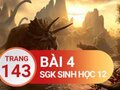Đáp án bài 4 trang 143 sách giáo khoa sinh học 12