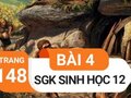 Đáp án bài 4 trang 148 sách giáo khoa sinh học 12