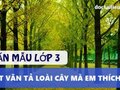 Tả loài cây mà em yêu thích