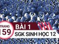 Giải sinh lớp 12: Đáp án bài 1 trang 159 SGK sinh học