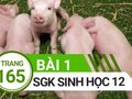 Đáp án bài 1 trang 165 sách giáo khoa sinh học 12