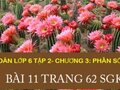 Giải toán lớp 6: Đáp án bài 11 trang 62 sgk toán 6 tập 2