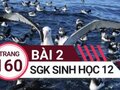 Đáp án bài 2 trang 160 sách giáo khoa sinh học 12
