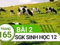 Giải bài 2 trang 165 sách giáo khoa sinh học lớp 12