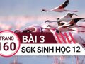 Giải bài 3 trang 160 sách giáo khoa sinh học lớp 12