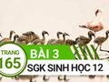 Giải sinh lớp 12: Đáp án bài 3 trang 165 SGK sinh học