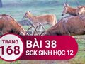 Giải sinh lớp 12: Đáp án bài 38 trang 168 SGK sinh học