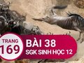 Đáp án bài 38 trang 169 sách giáo khoa sinh học 12