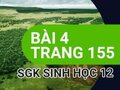 Đáp án bài 4 trang 155 sách giáo khoa sinh học 12