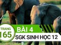 Đáp án bài 4 trang 165 sách giáo khoa sinh học 12