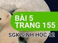 Giải bài 5 trang 155 sách giáo khoa sinh học lớp 12