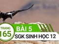 Giải bài 5 trang 165 sách giáo khoa sinh học lớp 12