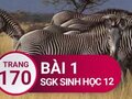 Giải bài 1 trang 170 sách giáo khoa sinh học lớp 12
