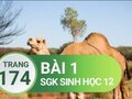 Đáp án bài 1 trang 174 sách giáo khoa sinh học 12
