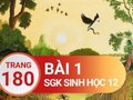 Giải sinh lớp 12: Đáp án bài 1 trang 180 SGK sinh học
