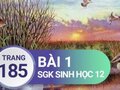 Giải sinh lớp 12: Đáp án bài 1 trang 185 SGK sinh học