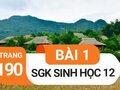 Giải sinh lớp 12: Đáp án bài 1 trang 190 SGK sinh học