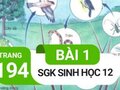 Giải bài 1 trang 194 sách giáo khoa sinh học lớp 12