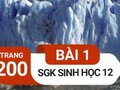 Đáp án bài 1 trang 200 sách giáo khoa sinh học 12