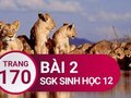 Giải sinh lớp 12: Đáp án bài 2 trang 170 SGK sinh học