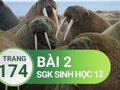 Giải bài 2 trang 174 sách giáo khoa sinh học lớp 12