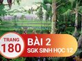 Giải sinh lớp 12: Đáp án bài 2 trang 180 SGK sinh học