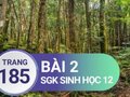 Đáp án bài 2 trang 185 sách giáo khoa sinh học 12