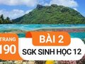 Đáp án bài 2 trang 190 sách giáo khoa sinh học 12