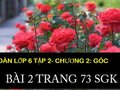 Trả lời câu hỏi 2 trang 73 sách giáo khoa toán 6 tập 2
