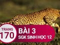 Đáp án bài 3 trang 170 sách giáo khoa sinh học 12