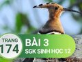 Giải sinh lớp 12: Đáp án bài 3 trang 174 SGK sinh học