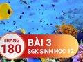 Đáp án bài 3 trang 180 sách giáo khoa sinh học 12