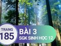 Giải bài 3 trang 185 sách giáo khoa sinh học lớp 12