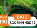 Giải bài 3 trang 190 sách giáo khoa sinh học lớp 12