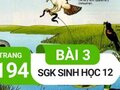 Đáp án bài 3 trang 194 sách giáo khoa sinh học 12