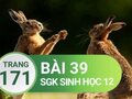 Đáp án bài 39 trang 171 sách giáo khoa sinh học 12