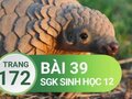 Giải bài 39 trang 172 sách giáo khoa sinh học lớp 12