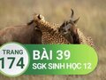 Giải sinh lớp 12: Đáp án bài 39 trang 174 SGK sinh học