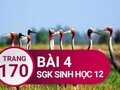 Giải bài 4 trang 170 sách giáo khoa sinh học lớp 12