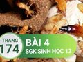 Đáp án bài 4 trang 174 sách giáo khoa sinh học 12