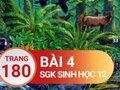 Giải bài 4 trang 180 sách giáo khoa sinh học lớp 12