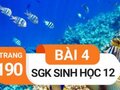 Giải sinh lớp 12: Đáp án bài 4 trang 190 SGK sinh học