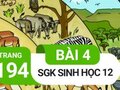 Giải bài 4 trang 194 sách giáo khoa sinh học lớp 12