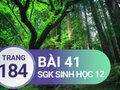 Giải bài 41 trang 184 sách giáo khoa sinh học lớp 12