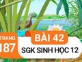 Đáp án bài 42 trang 187 sách giáo khoa sinh học 12