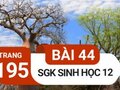 Giải sinh lớp 12: Đáp án bài 44 trang 195 SGK sinh học