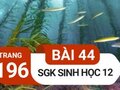 Đáp án bài 44 trang 196 sách giáo khoa sinh học 12